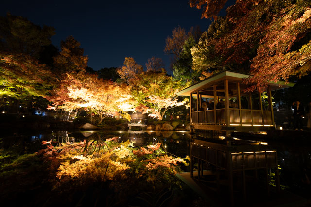 公園の池に紅葉が反射している写真ー編集前